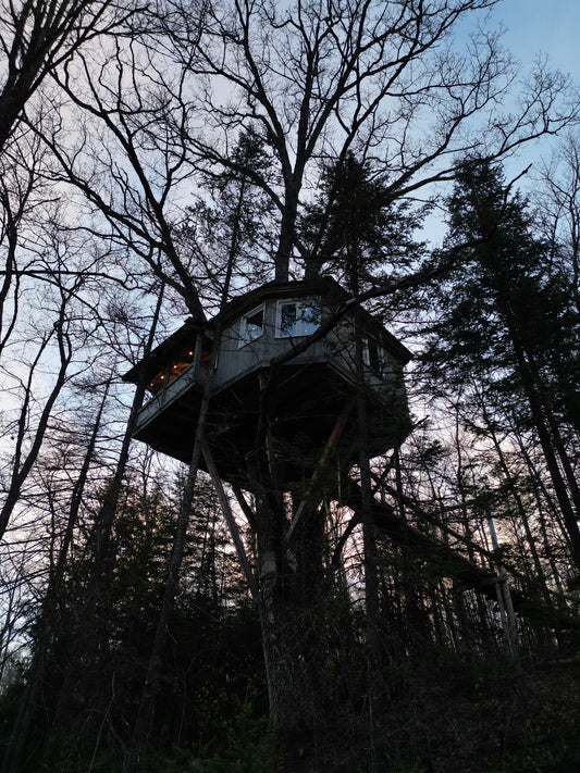 A BIRD'S EYE TREEHOUSE